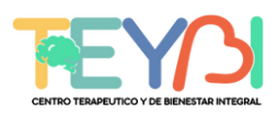 logo teybi logo teybi